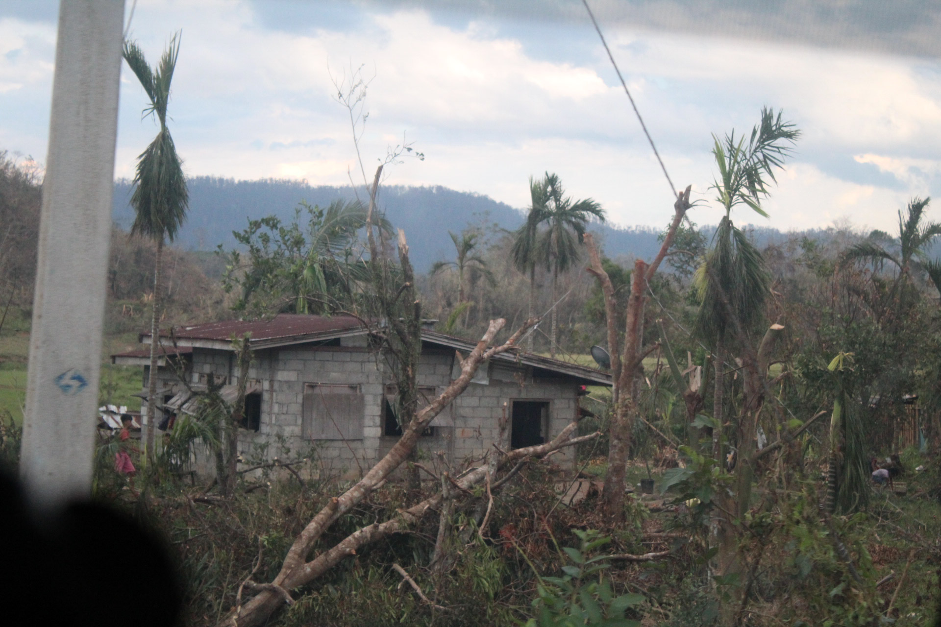 Green group welcomes result of CHR inquiry on climate and human rights