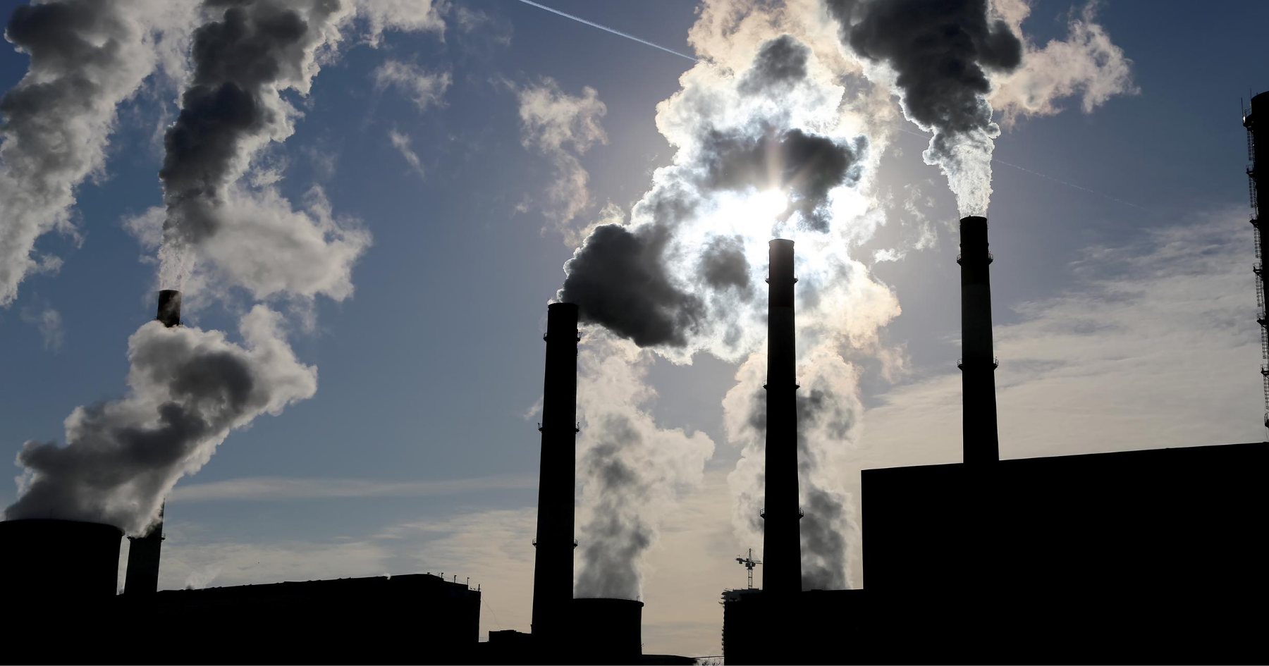 From Moratorium to History: Seal Coal’s End in the Philippine Power Pipeline