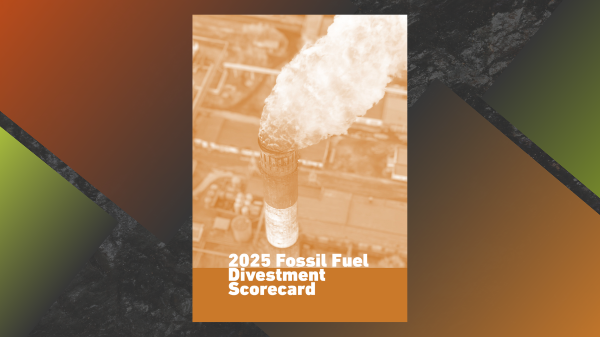 FFDS Report 2025: PH banks pulled brakes on coal, gas financing in 2024