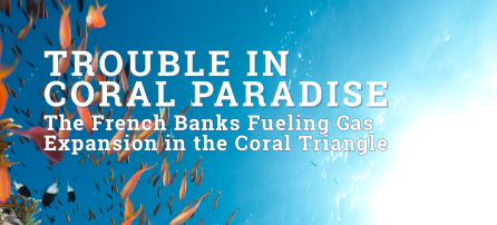 Trouble in Coral Paradise: The French Banks Fueling Gas Expansions in the Coral Triangle